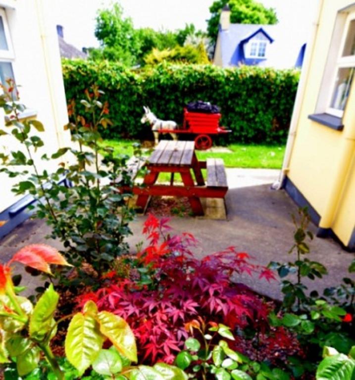 Grey Gables B&B Ennis Esterno foto